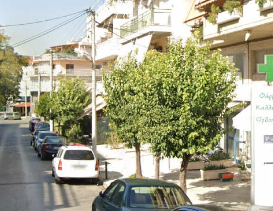 ΔΗΜΗΤΡΟΠΟΥΛΟΥ ΦΩΤΕΙΝΗ0